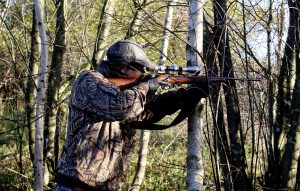 hunter, rifle, hunting, weapons, shoot, firearms, shooting, aims, shot, animals, nature, hunter, hunter, hunter, rifle, rifle, rifle, rifle, rifle, hunting, hunting, hunting, hunting